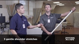 3 Gentle Stretches to Reduce Shoulder Pain [upl. by Strawn]