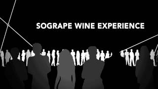 ESSÊNCIA DO VINHO TV  Sogrape Wine Experience 2013 Promo [upl. by Anihpled17]