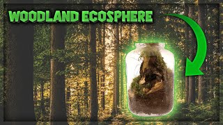 Creating a Native Woodland EcosphereEcosystem  Closed Terrarium [upl. by Oab]