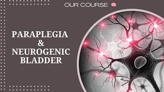 L5 neuro part1 Neurogenic bladder Medicine 40 [upl. by Ashling]