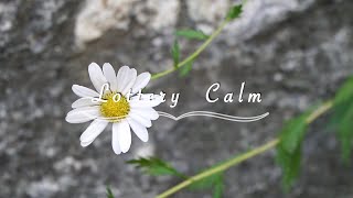 🅻🆄🅲🅺 Number • Lottery Winner’s Daily Lucky Affirmation Meditation • Relaxing Music Piano [upl. by Medlin357]