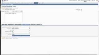 Creating Standard Online Customer Forms in NetSuite [upl. by Notaek]