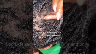 Loc Extensions… can you see the difference locextensions microlocjourney naturalhair hair [upl. by Rancell990]