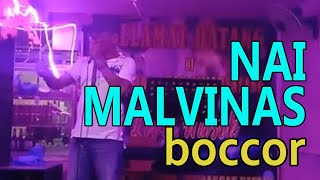 🔴 Lawak Batak Nai Malvinas ● Boccor [upl. by Witherspoon]