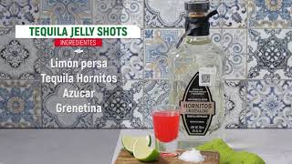 Tequila Jelly Shots [upl. by Merna301]