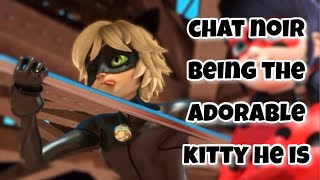 Chat Noir being the ADORABLE KITTY he is🐱🐈‍⬛ [upl. by Iago]