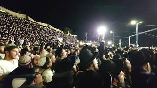 10s of thousands of hasidic Jews jumping with joy lag boimer meron [upl. by Meakem]