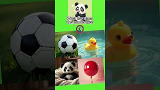 Pandas EXPOSED Fun Secrets You Never Knew [upl. by Akimit]