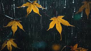 ⛈️🍂 Soothing Rain Sounds 🍂⛈️ Deeper Sleep Focus Study Relaxation Improve Productivity  ASMR [upl. by Eresed]