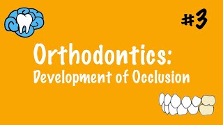 Orthodontics  Development of Occlusion  INBDE ADAT [upl. by Eeima404]