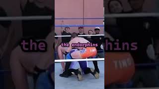 LOCAL STRONG BOY indywrestling indiewrestling prowrestling wrestling aew wwe [upl. by Yretsym]