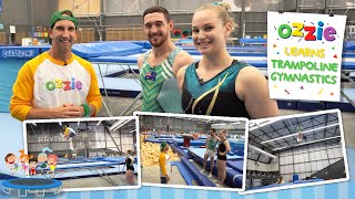 Trampolining For Kids With Ozzie  Educational Video About The Olympic Sport Trampoline Gymnastics [upl. by Feodore798]