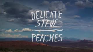 Delicate Steve  quotPeachesquot Full Album Stream [upl. by Kcirb]