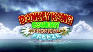 Level 44 Irate Eight Chase  Donkey Kong Country Tropical Freeze  Music [upl. by Ameh707]