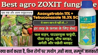 Zoxit fungicide best agro zoxit fungicide Azoxistrobin 11  Tebuconazole 183SC best fungicide [upl. by Flyn461]