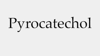 How to Pronounce Pyrocatechol [upl. by Onnem14]