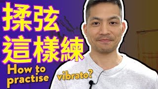 【中文字幕】小提琴揉弦怎樣練？How to practise vibrato on the violin [upl. by Kimball480]