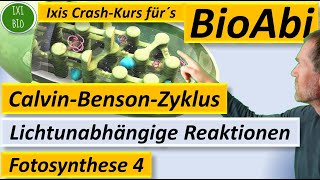 Fotosynthese 4 Lichtunabhängige Reaktionen  CalvinZyklus  CalvinBenson Sekundärreaktion BioIxi [upl. by Pich318]