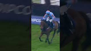 Throwback to 2018 and this incredible win from UN DE SCEAUX in the Clarence House Chase 🤩  shorts [upl. by Silvie609]