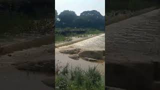 Pinakini river 🌊 at viduraswatham gauribidanur natureshorts [upl. by Rugen]