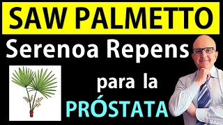 🌸 SERENOA REPENS SAW PALMETTO👌 Remedio NATURAL para PRÓSTATA 📘Dr PEDRO CASTILLO Medicina Integral [upl. by Nerta]