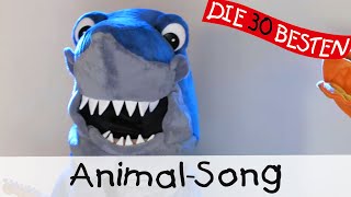 Animal Song  Singen Tanzen und Bewegen  Kinderlieder [upl. by Neelyak]