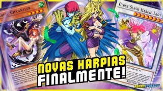 11 VITÓRIAS SEGUIDAS NOVO DECK DE HARPIA É INCRÍVEL  YuGiOh Duel Links 1351 [upl. by Ashbaugh]