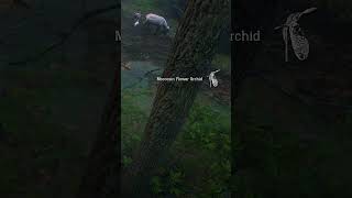 MOCCASIN FLOWER ORCHID  RDR2 shorts shortvideo reddeadredemption [upl. by Valer692]