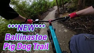 Ballinastoe New Pig Dog Trail NEW TRAIL [upl. by Eseerehs324]