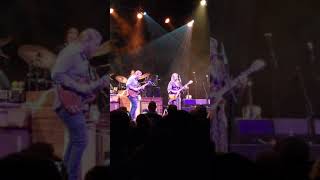 Tedeschi Trucks Band  Ryman 13119 [upl. by Hale]