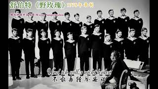 舒伯特《野玫瑰》Heidenroslein（1978年） [upl. by Cassaundra]