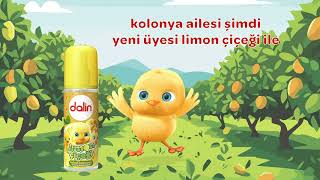 Dalin Kolonya Ailesi’nin Yeni Üyesi Limon Çiçeği [upl. by Goran649]