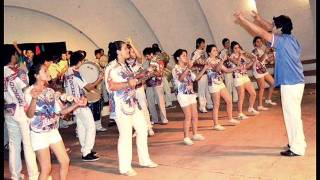 Samba Enredo TRADICION 2012 OFICIAL ♥♫ [upl. by Notlok]