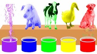 Farm Animals Bathing Colors Fun  Learn Colors for Children Kids Toddlers To Learn With Animals [upl. by Yerac]