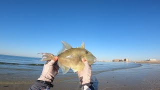 Puerto Penasco Shore Fishing Rocky Point Mexico [upl. by Yarased524]