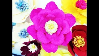 DIY Crepe flower backdrop Lalia plus 01 Crepe [upl. by Hollie]