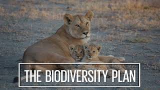 International Day for Biodiversity 2024 Teaser [upl. by Nhguavad]