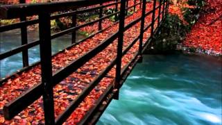 Bridge Over Troubled Waters ACKER BILK [upl. by Fabi]