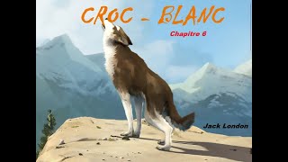 Croc Blanc  Livre Audio 🔈  chapitre 6  Le Louveteau gris Jack London [upl. by Nylarahs]