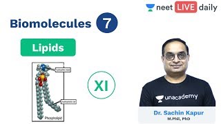 Biomolecules  L 7  Lipids  Class 11  Unacademy NEET  LIVE DAILY  NEET Biology  Sachin Sir [upl. by Alf]