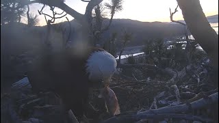 20200328 Big Bear🦅Breakfish For Jackie🐠Sunrise TimeLapse🌄Cameo By Steller’s Jay Warbling Vireo🐦 [upl. by Latrina339]