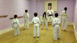 Shorinji Kempo kids class Kihon [upl. by Amsirp]