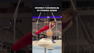 Stephen Nedorosciks Pommel Horse routine stephennedoroscik gymnast usagymnastics [upl. by Neroc]