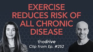 Exercise reduces the risk of all chronic diseases  Rhonda Patrick amp Peter Attia [upl. by Lancaster]