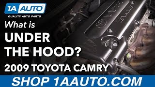 What is Under the Hood of My 0611 Toyota Camry [upl. by Tsai839]