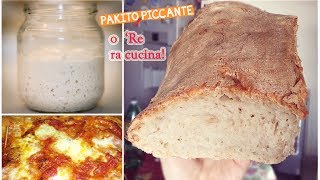 LIEVITO MADRE per PANE Fatto in casa Pizza Taralli • Ricetta di Pakitopiccante [upl. by Elrebmik998]