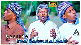 Qasiido  Yaa Rasulalahi  Amiin Shaakir 2022 Official video [upl. by Einnol]