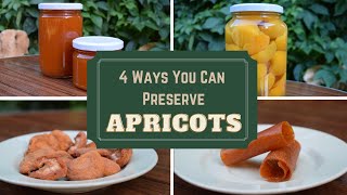 4 Ways You Can Preserve Apricots to Enjoy Them All Year Long  Kevani Farming [upl. by Eltsyrc]