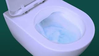 What are Rimless Toilets [upl. by Shandeigh910]