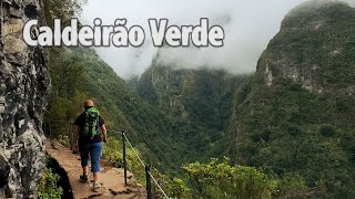 Madeira Day 4 Levada do Caldeirão Verdeon of the best waterfall walks amp Sanatana [upl. by Oiciruam899]